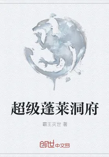 《超级蓬莱洞府》小说封面