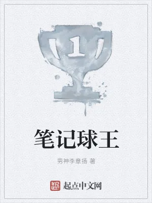 《笔记球王》小说封面