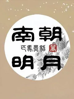 《南朝明月》小说封面