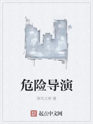 《危险导演》小说封面