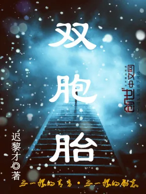 《双胞胎》小说封面