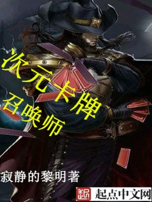 《次元卡牌召唤师》小说封面