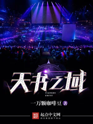 《天书之域》小说封面