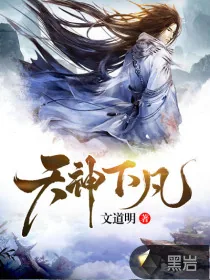 《天神下凡》小说封面