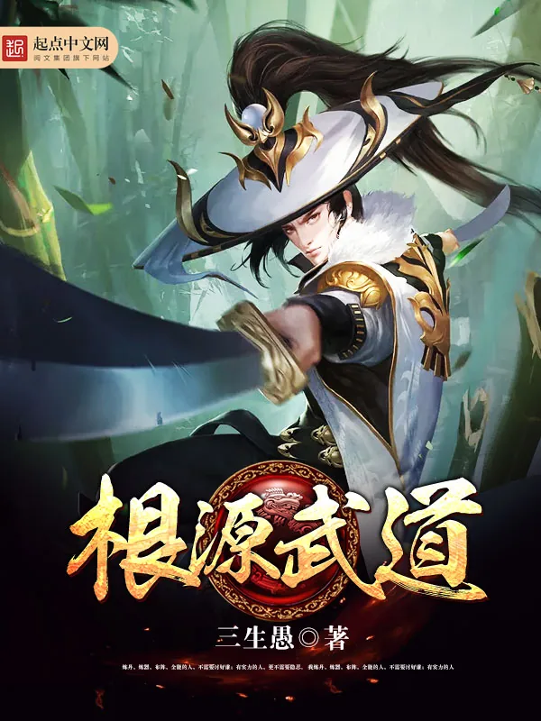 《根源武道》小说封面
