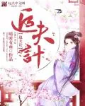 《追夫计》小说封面