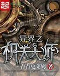 《异界之机关大师》小说封面