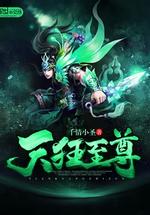 《天狂至尊》小说封面