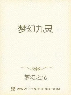 《梦幻九灵》小说封面