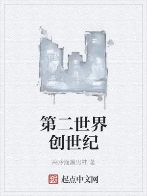 《第二世界创世纪》小说封面