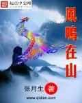 《凤鸣在山》小说封面