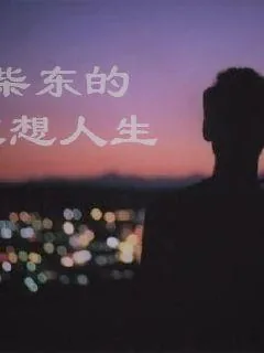 《柴东的狂想人生》小说封面
