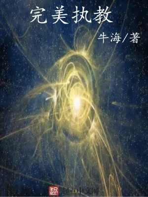 《完美执教》小说封面