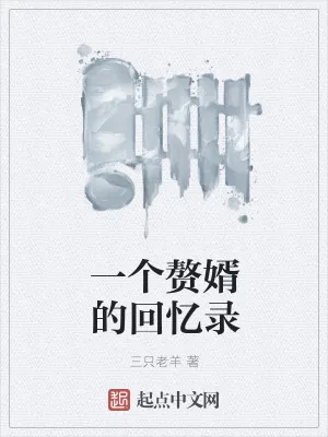 《一个赘婿的回忆录》小说封面