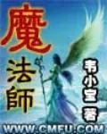 《魔法师》小说封面