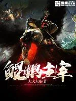 《鲲鹏主宰》小说封面