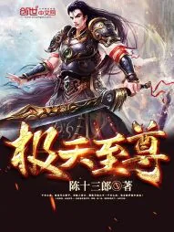 《极天至尊》小说封面