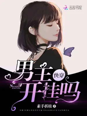 《快穿：男主，开挂吗》小说封面