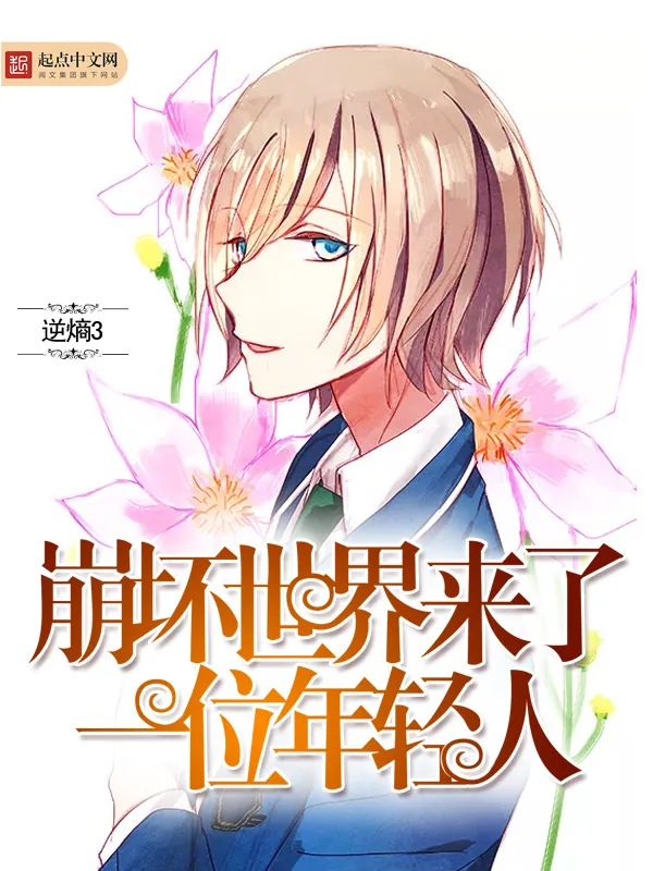 《崩坏世界来了一位年轻人》小说封面
