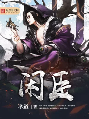 《闲臣》小说封面