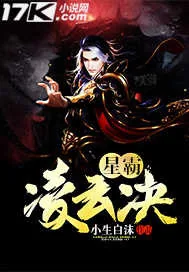 《星霸凌云决》小说封面