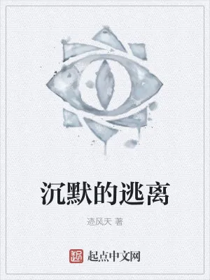 《沉默的逃离》小说封面