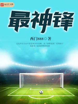 《最神锋》小说封面