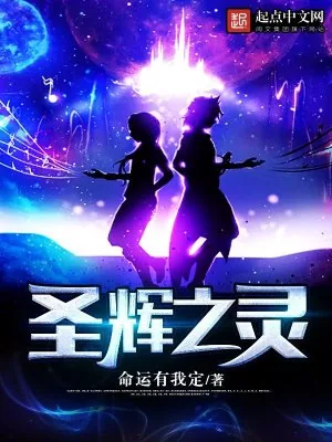 《圣辉之灵》小说封面