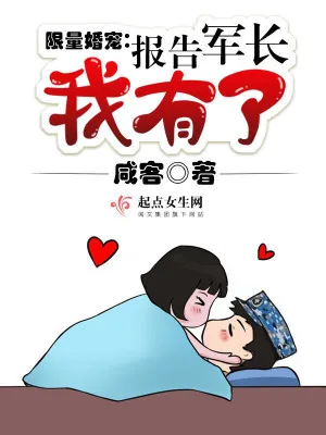 《限量婚宠：报告军长，我有了》小说封面