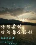 《你想要的，时间都会给你》小说封面