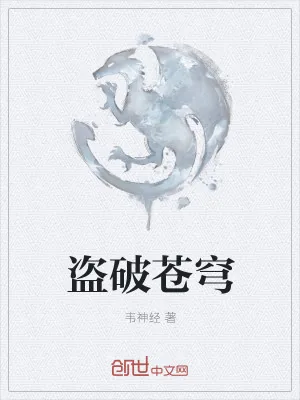 《盗神之戒》小说封面