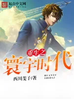 《重生之寰宇时代》小说封面