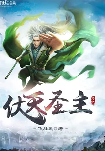 《伏天圣主》小说封面