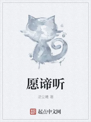 《愿谛听》小说封面