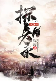 《探知录》小说封面