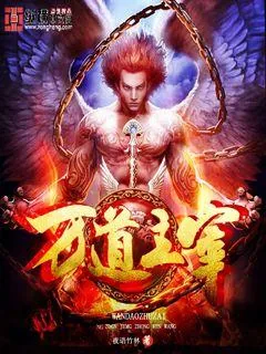 《万道主宰》小说封面