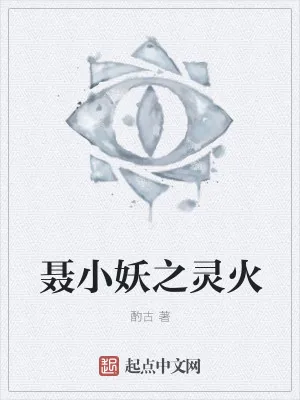 《聂小妖之灵火》小说封面
