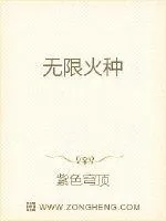 《无限火种》小说封面