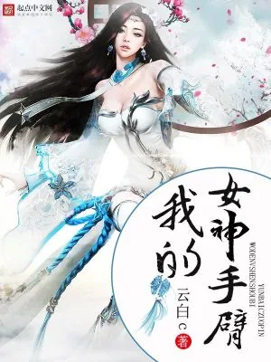 《我的女神手臂》小说封面