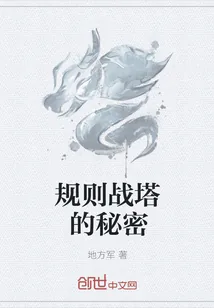 《规则战塔的秘密》小说封面