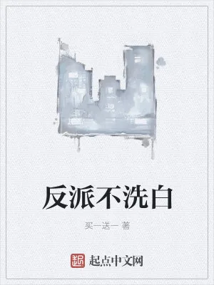 《反派不洗白》小说封面