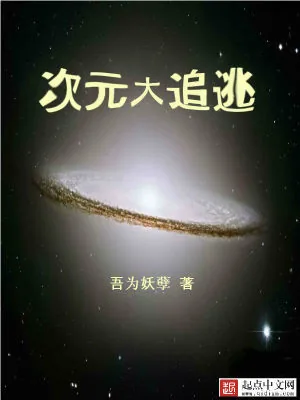 《次元大追逃》小说封面