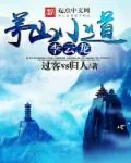 《茅山小道李云龙》小说封面