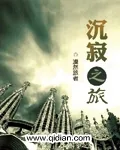 《沉寂之旅》小说封面