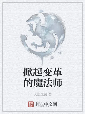 《掀起变革的魔法师》小说封面