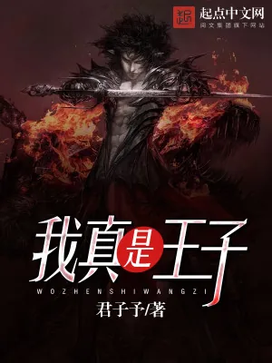 《我真是王子》小说封面