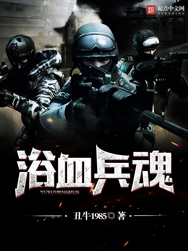 《浴血兵魂》小说封面