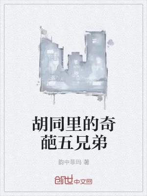 《胡同里的奇葩五兄弟》小说封面