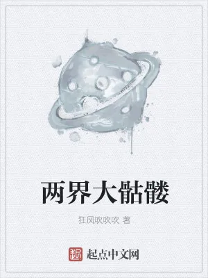 《两界大骷髅》小说封面