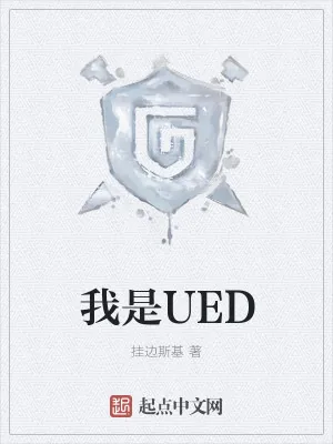 《我是UED》小说封面